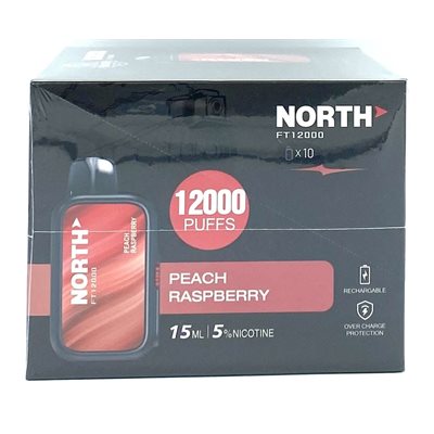 NORTH PEACH RASPBERRY 12000 PUFF 10CT